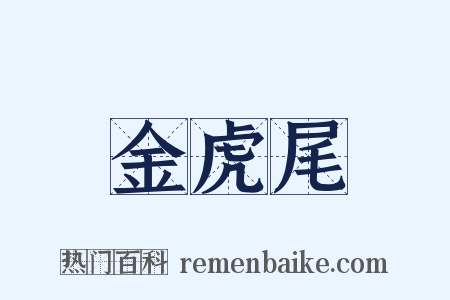 金虎尾是什么意思的图片